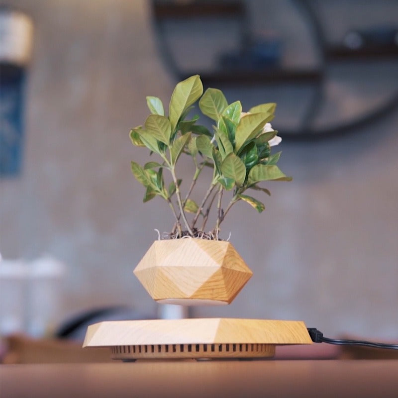 AOKOMELON Magnetic Levitation Potted Plants